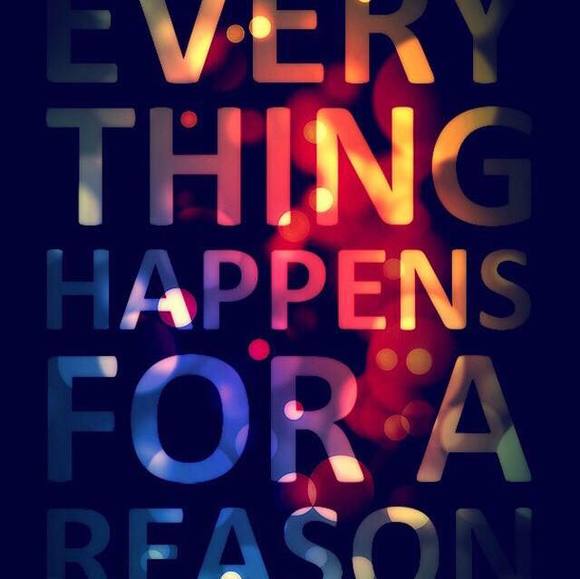 Meet your Posher, Reece - Picture 1 of 1